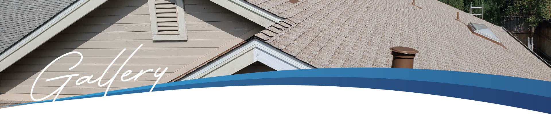 asphalt shingle roof